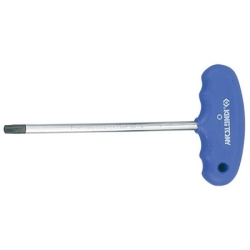 Imbus z uchwytem T TORX T25 100mm