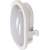 LAMPA NAŚCIENNA OWALNA LED 5,5W